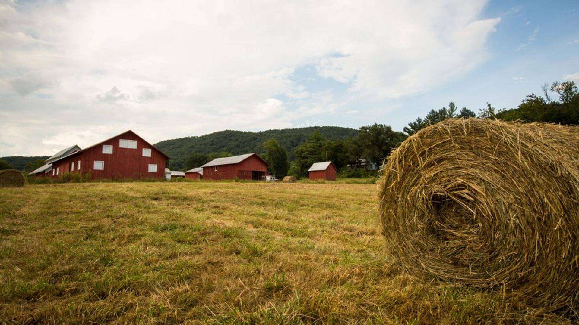 Aerial view of vacant land in North Georgia